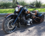 Darkhorse